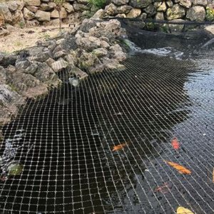AquaOne Vijverafdeknet 10 x 15 m vijvernet vijverbescherming visreiger bladbescherming afdeknet vijver vijverafdekking bladernet vogelnet vangnet vogelbescherming