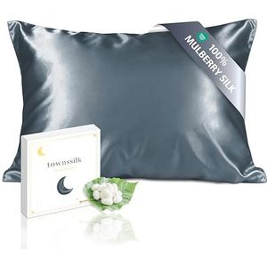 townssilk Zijdekussensloop, 100% 19 mm, pure moerbeizijde, dubbelzijdig zijde, voor haar, huid, gezondheid, zijden hoofdkussensloop, verborgen ritssluiting, 1 stuk, 40 x 70 cm, grijs