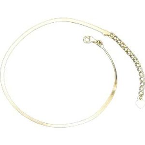 Enkelbandjes 925 Sterling Zilver Minimalistisch 18k Goud Glanzend Snake Bone Enkelbandje voor Vrouwen Strand Zomer Charme Party Sieraden Accessoires Vrouwen Enkelbanden (Color : Silver)