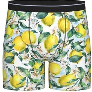GRatka Boxer slips, heren onderbroek Boxer Shorts been Boxer Slips grappig nieuwigheid ondergoed, vintage geel fruit citroen, zoals afgebeeld, L
