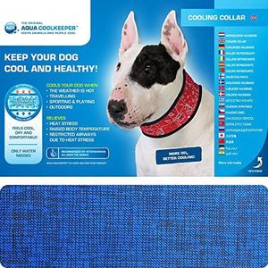 Halsband voor hond aqua coolkeeper pacific blue 24-29X3,5 CM