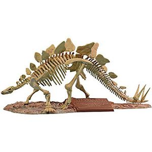 Glencoe Stegosaurus Skeleton Model Kit