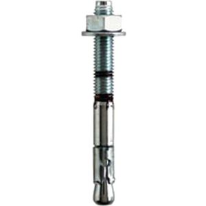 Rawlplug R-XPT-12220 12 x 220 mm M12 Verzinkt door bout (50 stuks)