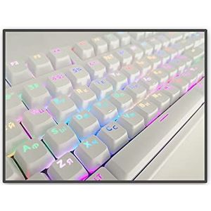 Toetsendoppen voor mechanisch toetsenbord compatibel voor Cherry MX Verlichting Russisch/Koreaanse Pudding Key Caps Backlit Led Lighting Keycaps voor OEM-profiel (totaal 104 Keycaps) (Wit-Russisch)