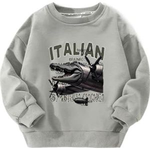 MAOXITCATY Klassieke crewneck sweatshirts voor jongens en meisjes met cartoon AI-dierenprint, lange mouwen voor kinderen,Grijs,100cm