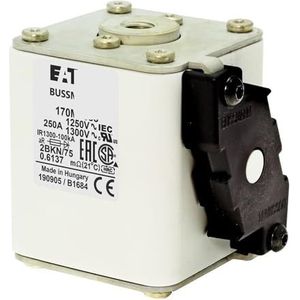 Originele zekering 170M5393