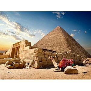 Piramide en kameel 500 stukjes decompressie puzzel unieke puzzel spel klassieke houten puzzel tieners doe-het-zelf grote puzzels