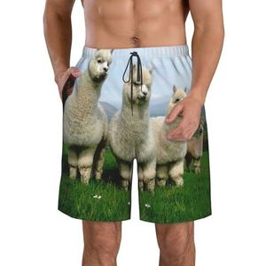 PHTZEZFC Alpaca Family Print strandshorts voor heren, lichtgewicht, sneldrogend, zwembroek met trekkoord en zakken, Wit, M