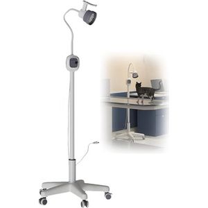 Led-Gynaecologisch Onderzoekslicht, Mobiele Chirurgische Onderzoekshulplamp, Flexibel Zwanenhals-Examenlicht, Meerhoekige Verlichting, Voor Gynaecologie, Poliklinische PatiëNten, Stomatologie