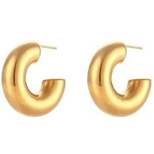 Oorclips Gouden Afwerking Chunky Hoop Oorboeien for Meisjes Leuke Dikke Oorbellen Roestvrijstalen Vrouwen Sieraden Oorbellen (Style : Earring)