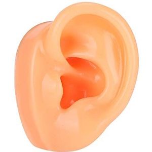 Het Oormodel van de siliconevertoning, Silicone Linker Oor Model Delicate Textuur voor Keelapotheek