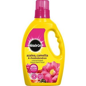 Scotts Miracle-Gro Plantenvoeding voor azalee, camelie en rhododendron, continue vrijgifte, schudvat, 1 kg