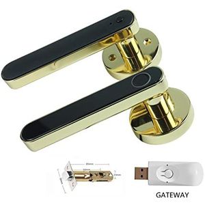 Smart Lock, Tuya Digitaal Elektronisch Smart Deurslot Biometrische Vingerafdruk Deurklink Keyless Digitaal Wachtwoord Smart Home,voor Slaapkamer Hotel Kantoor Appartement(Gold and Gateway)