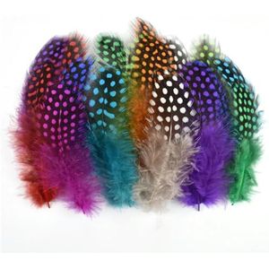 20 stuks natuurlijke gekleurde parelhoenders veren fazant pluimen sieraden handwerk accessoires veer decoratieve decor-gemengde kleuren