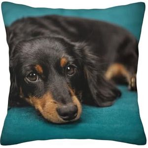 YUNWEIKEJI Teckel hond, kussensloop, decoratieve kussensloop, zachte polyester kussenslopen, 45 x 45 cm