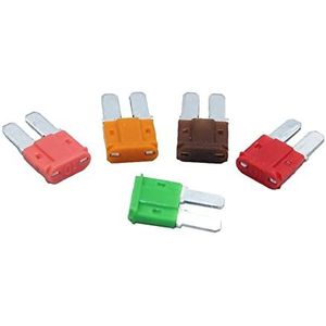 REPXITPQP 100 stuks 5A 7,5 A 10 A 20 A 25 A 30 A AMP Micro 2 lange beenzekeringen 9 mm x 15,5 mm Mini M2 lange voeten autozekering inzetstuk (10A)