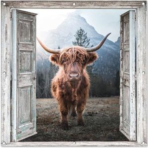 Tuinposter - 100x100 cm - Schotse hooglander - Koe - Landelijk - Doorkijk