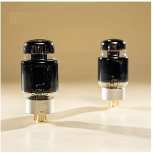 Tube KT88-Z vacuümbuis, vervangt KT120 6550 KT90 KT66 KT100 KT88 buisversterker, hifi-audiobuis (2 stuks)