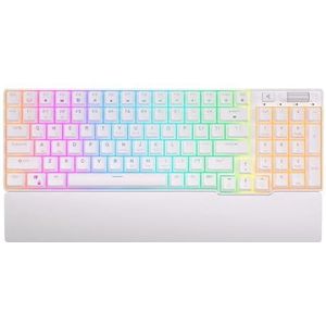 RK RK96 Mechanisch toetsenbord Bluetooth Wireless 96 RGB Tri-Mode BT5.0 2.4G Gaming-toetsenbord USB HOT-SWAPPELABLE verschillende apparaten (Engels wit)