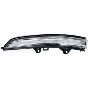 Led Zijknipperlichten Voor SAIC Voor Maxus T60 T70 Pickup Achteruitkijkspiegel Knipperlicht Lamp LED Licht Richtingaanwijzer Led Richtingaanwijzer(Links)