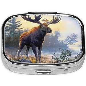 Mini vierkante pillendoos, medicijnorganizer, valhert, draagbare EHBO-doos, reispillendoos met 2 vakken, kleine pillendoos voor zak of portemonnee