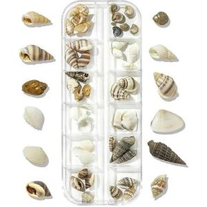 12 Grids/Box Onregelmatige Abalone Schelp Nail Art Vlokken Aurora Natuurlijke Zeeschelp Textuur Dunne Plak Charms DIY Manicure Beauty Tools-PH188