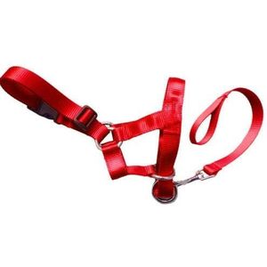 ZHAOCHEN. Training Puppy Head Collar Halter Pet Mouth Traction Set muilkorf Strap S-XXL (Color : Red, Size : S)