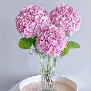 200 Stukken Hortensia Planten Winterharde Zaden - Hortensia - Bijenweidezaden Vaste Plant, Cadeaus Voor Tuinliefhebbers,Hortensia Macrophylla, Wilde Bloemenzaden, Zaden Met Verhoogd