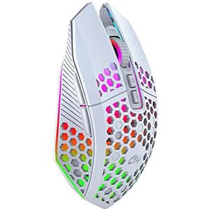 N+B RGB 2.4G draadloze gamingmuis oplaadbaar, 8 toetsen 1600 DPI verstelbare led-gamemuis met achtergrondverlichting (wit)