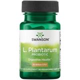 Swanson health Probiotics L.Plantarum