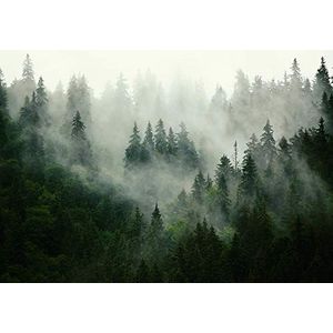 Fotobehang - Vlies Behang - Mistig Bos - Dennenbos in de Mist - 368 x 254 cm
