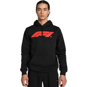 PUMA Formula 1 Essentials Logo Hoodie voor heren