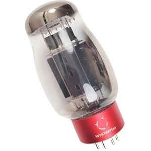 WEKT88 Plus HiFi-audioversterkerkit (DIY) (2 stuks)