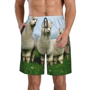 PHTZEZFC Alpaca Family Print strandshorts voor heren, lichtgewicht, sneldrogend, zwembroek met trekkoord en zakken, Wit, L