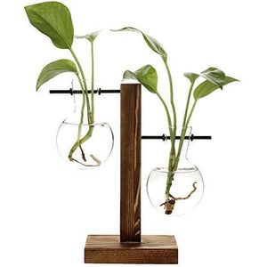 belupai Hydrocultuur Planten Vazen Vintage Bloempot Transparante Vaas Houten Frame Glas Tafelblad Planten Thuis Bonsai Decor (B - 2 Bulb Vaas)