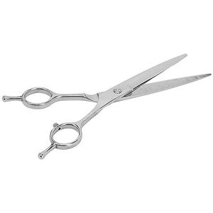 Kappersschaar, Draagbaar Roestvrijstalen Recht Ergonomisch Ontwerp Haarknipschaar voor Salon