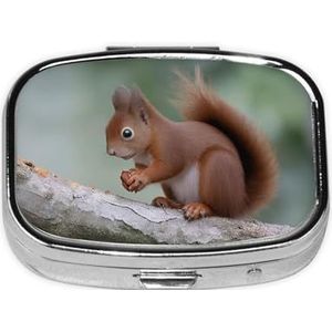 Vierkante pillendoos. Schattige eekhoorn. - Medicijnpillendoosje met 2 compartimenten, waterdicht, zakpillenorganizer, draagbaar, voor zak- of portemonneepillendozen