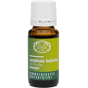 RATHAUS APOTHEKE WIEN geconcentreerd knopextract - Gemmotherapie - Carpinus betulus - De Haagbeuk - 15 ml