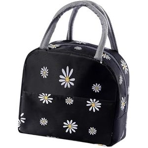 Colcolo Voedselopslagcontainer Geïsoleerde lunchboxzak Duurzame boodschappentas Voedsel thermische doos Picknicktas voor wandelende vrouwen, stijl c