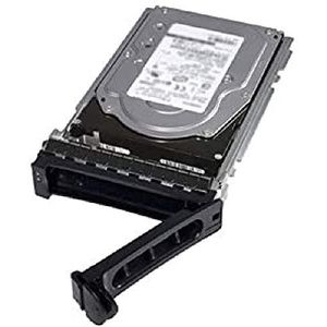 DELL 400-AUWX interne harde schijf 2 TB 7200 RPM 3.5" SAS