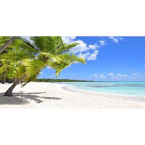 Renaiss 4.5x2.5m Zomer kust achtergrond Hawaii tropische zee zandstrand palmbomen fotografie achtergrond huwelijksreis reizen vakantie portret schieten vinyl behang fotostudio rekwisieten