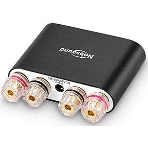 Nobsound NS-10G Pro Hi-Fi DSP digitale mini-versterker 100W met bluetooth 5.0-systeem 2-kanaals stereo audio voor thuisgebruik