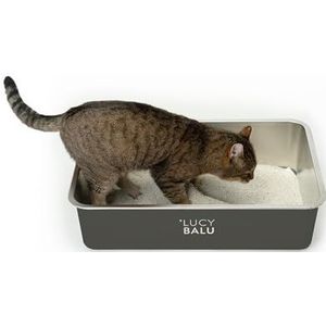 LucyBalu® STEELOO roestvrijstalen kattenbak geurvrij | XXL roestvrijstalen kattenbak | open kattenbak | moderne hop-in kattenbak zonder deksel | kattentoilet | roestvrijstalen bak | antraciet