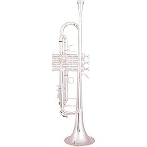 Bb Trompet Verzilverd Trompet Klein Messing Muziekinstrument (Color : Silver)