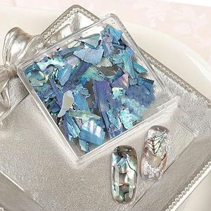 Onregelmatige natuurlijke schelptextuur Dunne abalone-plakbedels Vlokkenpalet Nail Art-paletten DIY-manicure-decals Tool-S38-02