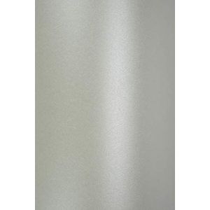 Netuno 10 vellen parelzilver glanzend karton A5 210×148mm 120g Majestic Moonlight Silver voor knutselen en decoreren