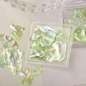 1Box Nail Art Abalone Seashell Slices Ocean Series 3D Aurora Gepolijst Kleurrijke Shell Nail Art Pailletten Natuurlijke Nagel Ultradun-3