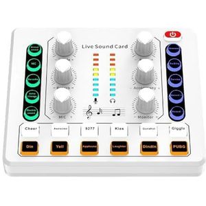 Draadloze 2 Kanalen 12 Effecten Home KTV for Streaming Ruisonderdrukking Gaming Audio Mixer Voice Change Live Geluidskaart computer - Ongelooflijk veelzijdig