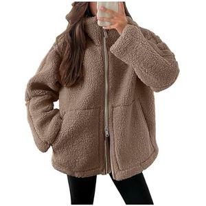 Teddyjack Pluizig Damesfleecejack - Winterpluche Teddyfleecejack Dubbelzijdig Dikke Winterjas Ritssluiting Warm Outdoor Winterjack Effen Vrijetijdspluche Jack S-XXL(Coffee,XXL)