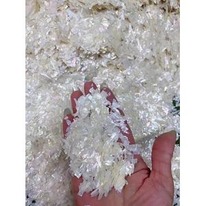 5g Natuurlijke Abalone Shell Design Nail Art Charms Onregelmatige Slice Fragment Nail Decoration Holografische Schelpdieren Manicure Decals-01